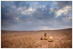 Imlil Valley to Marrakech 22  Agave Desert