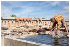 Marrakech 41  The Tannery