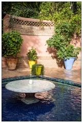 Marrakech 52  Pictures from the Jardin Majorelle