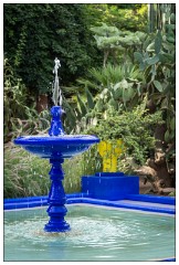 Marrakech 53  Pictures from the Jardin Majorelle