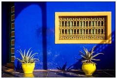 Marrakech 54  Pictures from the Jardin Majorelle
