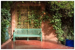 Marrakech 56  Pictures from the Jardin Majorelle