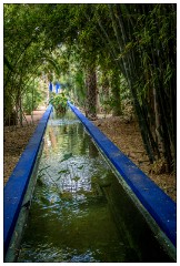 Marrakech 59  Pictures from the Jardin Majorelle