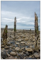 Northumberland  03  On the Beach