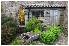 Northumberland  08  Gertrude Jekell Garden