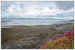 Northumberland  12  View from the Lime Kilns