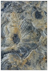 Northumberland  55  Rock Patterns at Seahouses