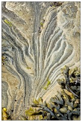 Northumberland  56  Rock Patterns at Seahouses