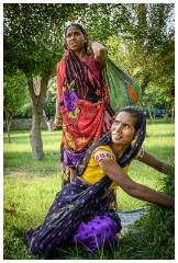 Agra 01  Gardens in the grounds opposite the Taj Mahal