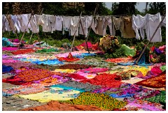 Agra 17  Drying the washing