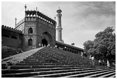 Delhi 31  Walking up into the Jama Masjid