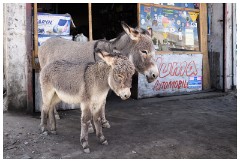 42 Leh and its Valley  Just Waiting