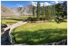 65 Leh and its Valley  View from the Old House