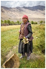 06 Leh to Nubra Dessert and Back  Collecting Turnips