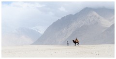 08 Leh to Nubra Dessert and Back  The Nubra Dessert