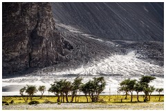 12 Leh to Nubra Dessert and Back  The Edge of the Dessert
