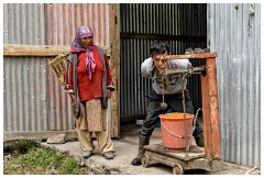 27 Leh to Nubra Dessert and Back  Weighting the Berries