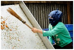 29 Leh to Nubra Dessert and Back  Sorting the Berries from the Leaves