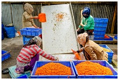 30 Leh to Nubra Dessert and Back  Boxes of Berries Ready for Juicing