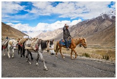 39 Leh to Nubra Dessert and Back  Man and his Mules