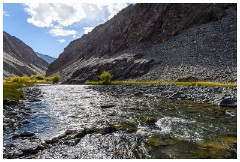 11 Leh to Tso Morini Lake and Back  Views along the Indus River