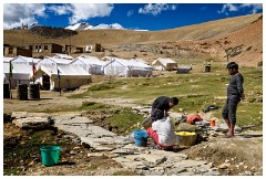 13 Leh to Tso Morini Lake and Back  Our Camp for Two Nights at 14,000 Feet