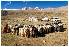 20 Leh to Tso Morini Lake and Back  The surroundings are magnificent as the area is dominated by the peaks of beautiful mountains, and a sky as clear as I have ever seen. (And a perfect sky for a nightly sighting of the Milky Way as you will see.)