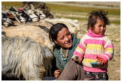 23 Leh to Tso Morini Lake and Back  Mother and Daughter