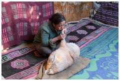 34 Leh to Tso Morini Lake and Back  Family Group Around a Group of Tents