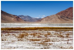 46 Leh to Tso Morini Lake and Back  Tso Kar Salt Lake
