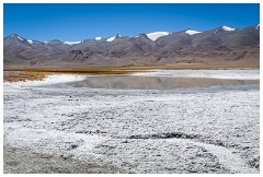 48 Leh to Tso Morini Lake and Back  Tso Kar Salt Lake