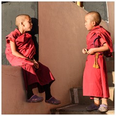 03 Thiksey and Likir Monasteries  Thiksey Monastery - In Conversation
