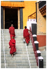 16 Thiksey and Likir Monasteries  Thiksey Monastery - Taking the Tea up to the Temple