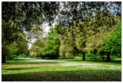 Kew Gardens 01  Syon Vista