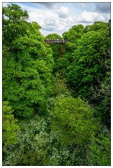 Kew Gardens 03  From Rhizotron and Treetop Walkway