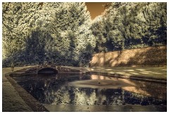 Shortgrove Estate 04  The Pool in colour Infrared