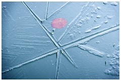 Shortgrove Estate 05  Ice Pool