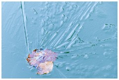 Shortgrove Estate 06  Ice Pool