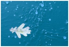 Shortgrove Estate 09  Ice Pool