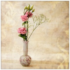 Table Top Photography 01