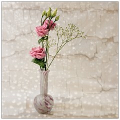 Table Top Photography 02