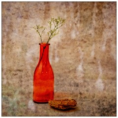 Table Top Photography 03