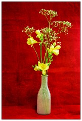 Table Top Photography 05