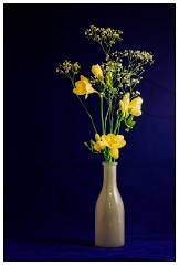 Table Top Photography 06