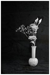 Table Top Photography 07