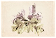 Table Top Photography 11