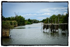 Aigues Mortes 15  Cruise along one of the many canals in the area
