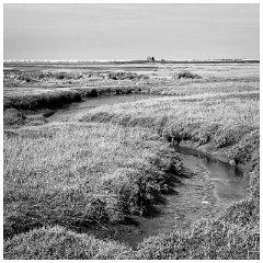 01 Blakeney and Cley  The Blakeney Marshes