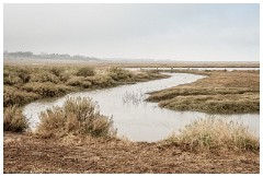 06 Blakeney and Cley  The Blakeney Marshes