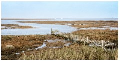 07 Blakeney and Cley  The Blakeney Marshes